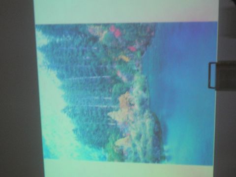 1163670446 265 FT0 P1010004 