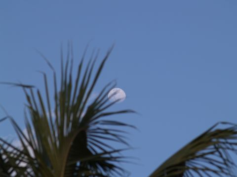 1172774505 253 FT0 P2283364